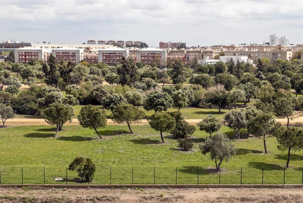Güney İspanya 'da güneşli bir günde Vejer de la Frontera evleri ve tarlaları