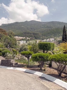 Ağaçlı Endülüs Tarlaları