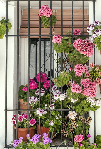 Parete Bianca Decorata Con Vasi Fiori — Foto Stock