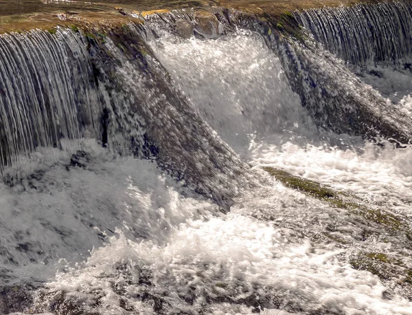 Cascada Río Del Bosque —  Fotos de Stock