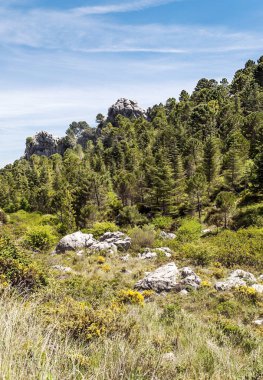 Güneşli bir günde İspanya 'da Sierra de Grazalema Dağları