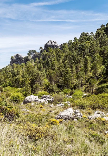 Güneşli bir günde İspanya 'da Sierra de Grazalema Dağları