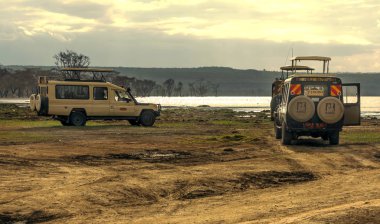 AMBOSELI, Kenya - Mayıs 2014. Kenya Ulusal Parkı 'nda cipte safari yapan bir turist. Hayvanlara bakıyorlar..