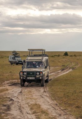 AMBOSELI, Kenya - Mayıs 2014. Kenya Ulusal Parkı 'nda cipte safari yapan bir turist. Hayvanlara bakıyorlar..