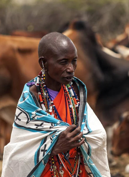 马赛马拉 肯尼亚 5月14日 马赛马拉国家公园附近的马赛马拉部落村庄一名非洲妇女的肖像 该村一名妇女希望拍照 回顾当地人民的日常生活 — 图库照片