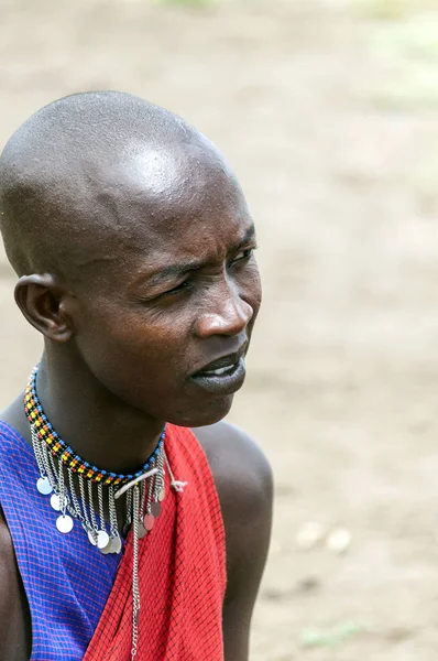 Masai Mara Kenia Maja Portrait Afrykaninem Wioski Plemienia Masai Mara — Zdjęcie stockowe