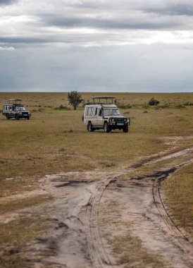AMBOSELI, Kenya - Mayıs 2014. Kenya Ulusal Parkı 'nda cipte safari yapan bir turist. Hayvanlara bakıyorlar..