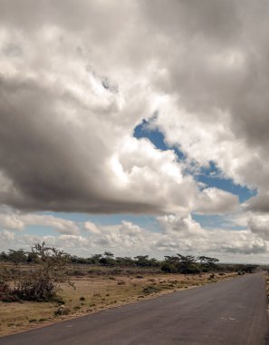Bulutlu bir günde Kenya dağları