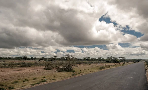 Kenias Berge Einem Bewölkten Tag — Stockfoto