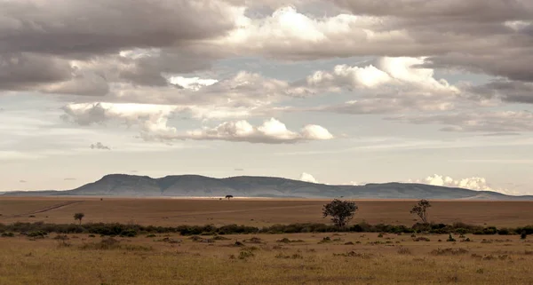 Kenia Bergen Een Bewolkte Dag — Stockfoto