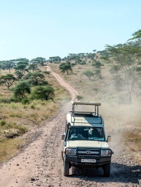 Serengeti, Tanzanya - 2014 olabilir. Turist jeep safari Tanzanya Milli Parkı'nın yol. Traying bkz: hayvanlar.