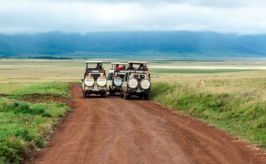 Serengeti, Tanzanya - 2014 olabilir. Turist jeep safari Tanzanya Milli Parkı'nın yol. Traying bkz: hayvanlar.