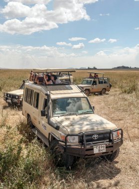 Serengeti, Tanzanya - 2014 olabilir. Turist jeep safari Tanzanya Milli Parkı'nın yol. Traying bkz: hayvanlar.