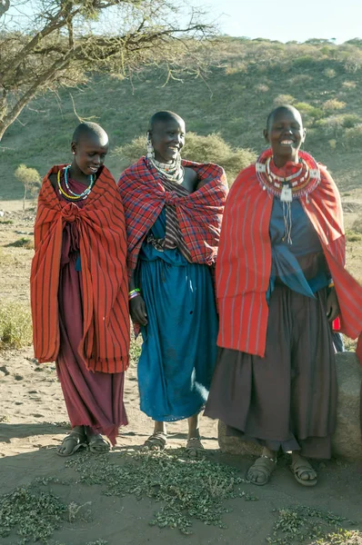 MTO Wa Mbu, Tanzanya-Mayıs 14: Afrikalı kadınlar gülümseyen, Masai Mara kabile köyü yerel halkın, Serengeti Milli Parkı yakınındaki günlük yaşamın bir daha gözden geçirme