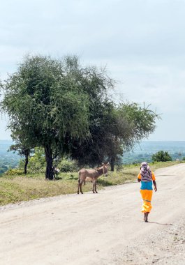 MTO Wa Mbu, Tanzanya - Mayıs, 2014: Street küçük bir köyün Tanzanya