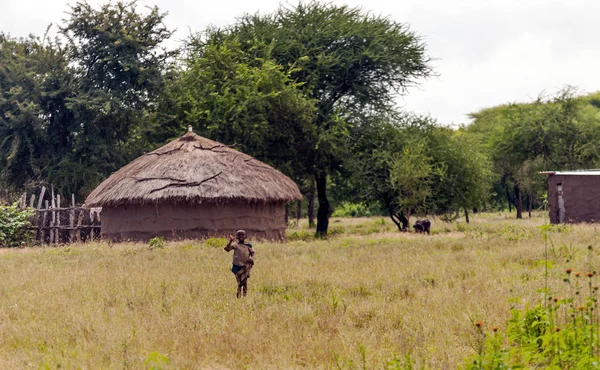 Mto Mbu Tanzania Maggio 2014 Piccoli Bambini Tanzaniani Non Identificati — Foto Stock