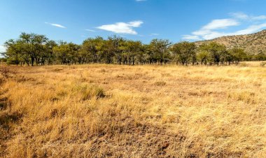Dağlar Ngorogoro Vadisi'nde Tanzanya