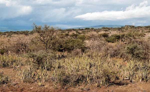 Montanhas Tanzânia Vale Ngorogoro — Fotografia de Stock