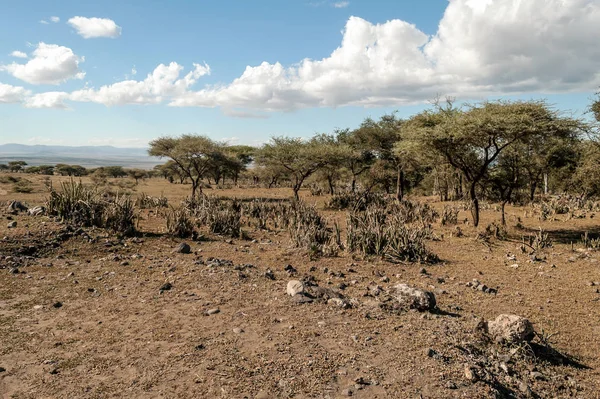 Mountains Tanzania Ngorogoro Valley — Stock Photo, Image