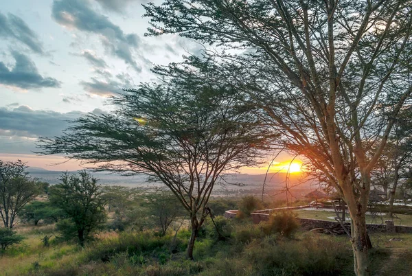 Sonnenuntergang Der Savanne Von Tansania — Stockfoto