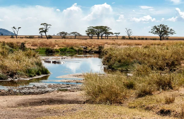 Ngorogoro Valley Tanzania — Stockfoto
