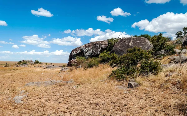 Ngorogoro Valley Tanzania — Stockfoto