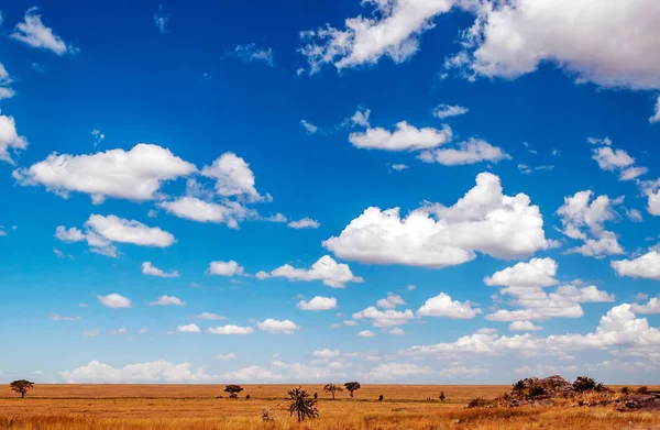 Ngorogoro Dolina Tanzanii — Zdjęcie stockowe