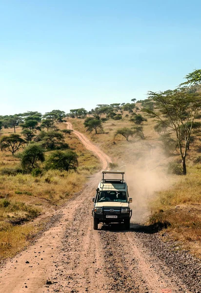 Tanzanya Afrika - Mayıs 2014. Jeep intanzania Avrupa turist savana touring