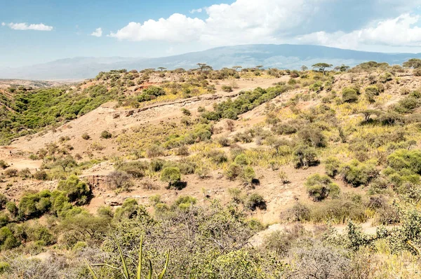 Ngorogoro Údolí Tanzanii — Stock fotografie