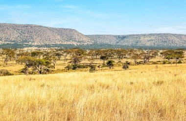 Dağlar Ngorogoro Vadisi'nde Tanzanya