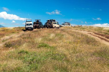 Tanzanya Afrika - Mayıs 2014. Jeep intanzania Avrupa turist savana touring