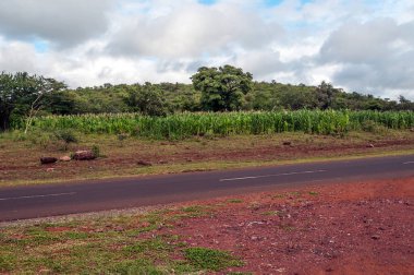 Güneşli bir günde Tanzanya alanları