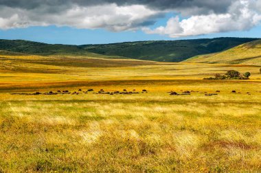 Dağlar Ngorogoro Vadisi'nde Tanzanya