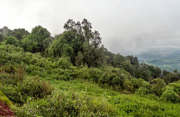 Dağlar Ngorogoro Vadisi'nde Tanzanya