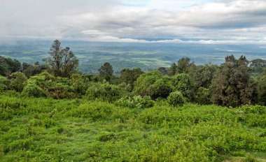Dağlar Ngorogoro Vadisi'nde Tanzanya