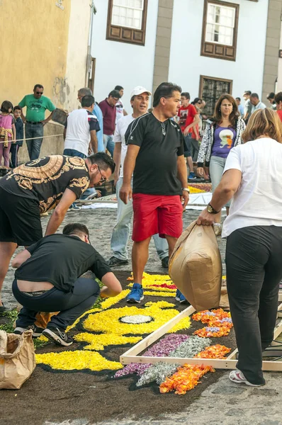 La Orotava İspanya - Haziran 2014. Corpus Christi günde çiçek halı üzerinde kasabanın insanları.