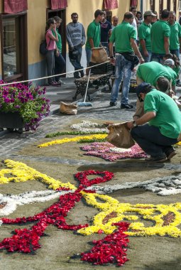 La Orotava İspanya - Haziran 2014. Corpus Christi günde çiçek halı üzerinde kasabanın insanları.