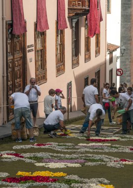 La Orotava İspanya - Haziran 2014. Corpus Christi günde çiçek halı üzerinde kasabanın insanları.
