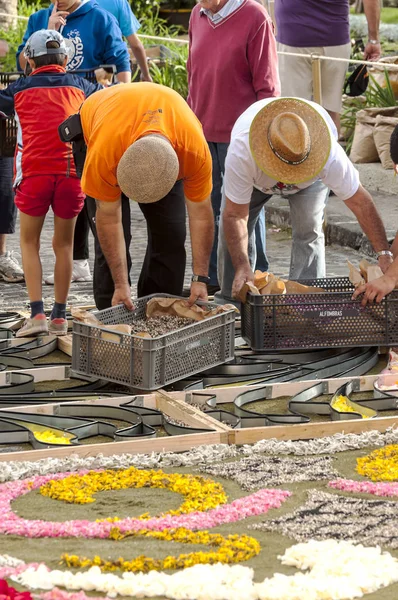 オロタバ スペイン 2014 花のカーペットのコーパス クリスティの日に取り組んでいる町の人々 — ストック写真