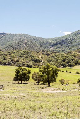 Alanları Endülüs İspanya güneşli bir günde