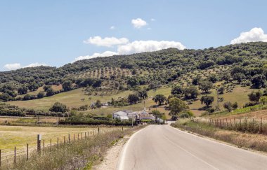 Alanları Endülüs İspanya güneşli bir günde