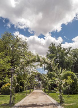 Bahar Madrid Retiro Park Bahçe