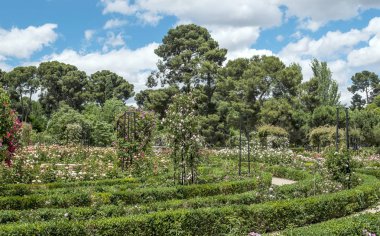 Bahar Madrid Retiro Park Bahçe