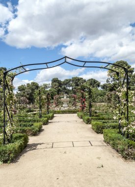Bahar Madrid Retiro Park Bahçe