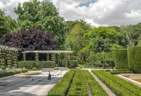 Jardín Del Parque Del Retiro Madrid Primavera — Foto de Stock