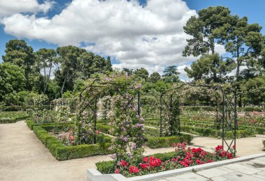 Bahar Madrid Retiro Park Bahçe