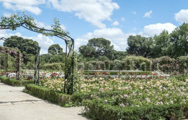 Bahar Madrid Retiro Park Bahçe