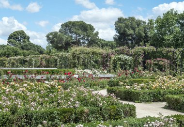 Bahar Madrid Retiro Park Bahçe