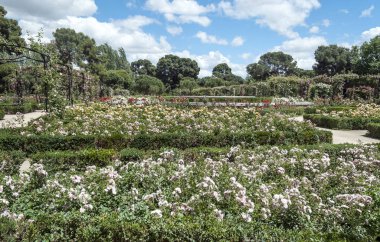 Bahar Madrid Retiro Park Bahçe