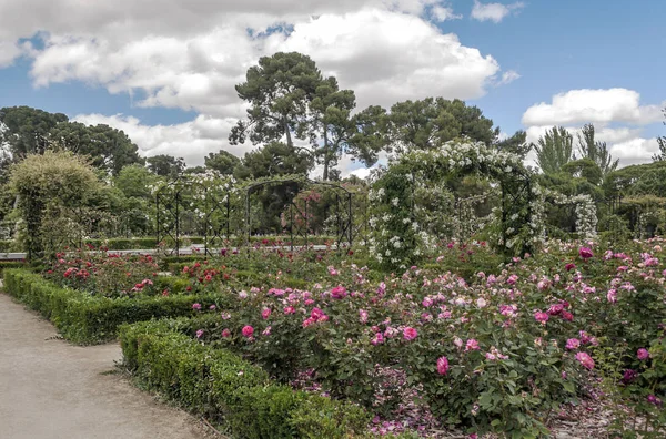 Bahar Madrid Retiro Park Bahçe